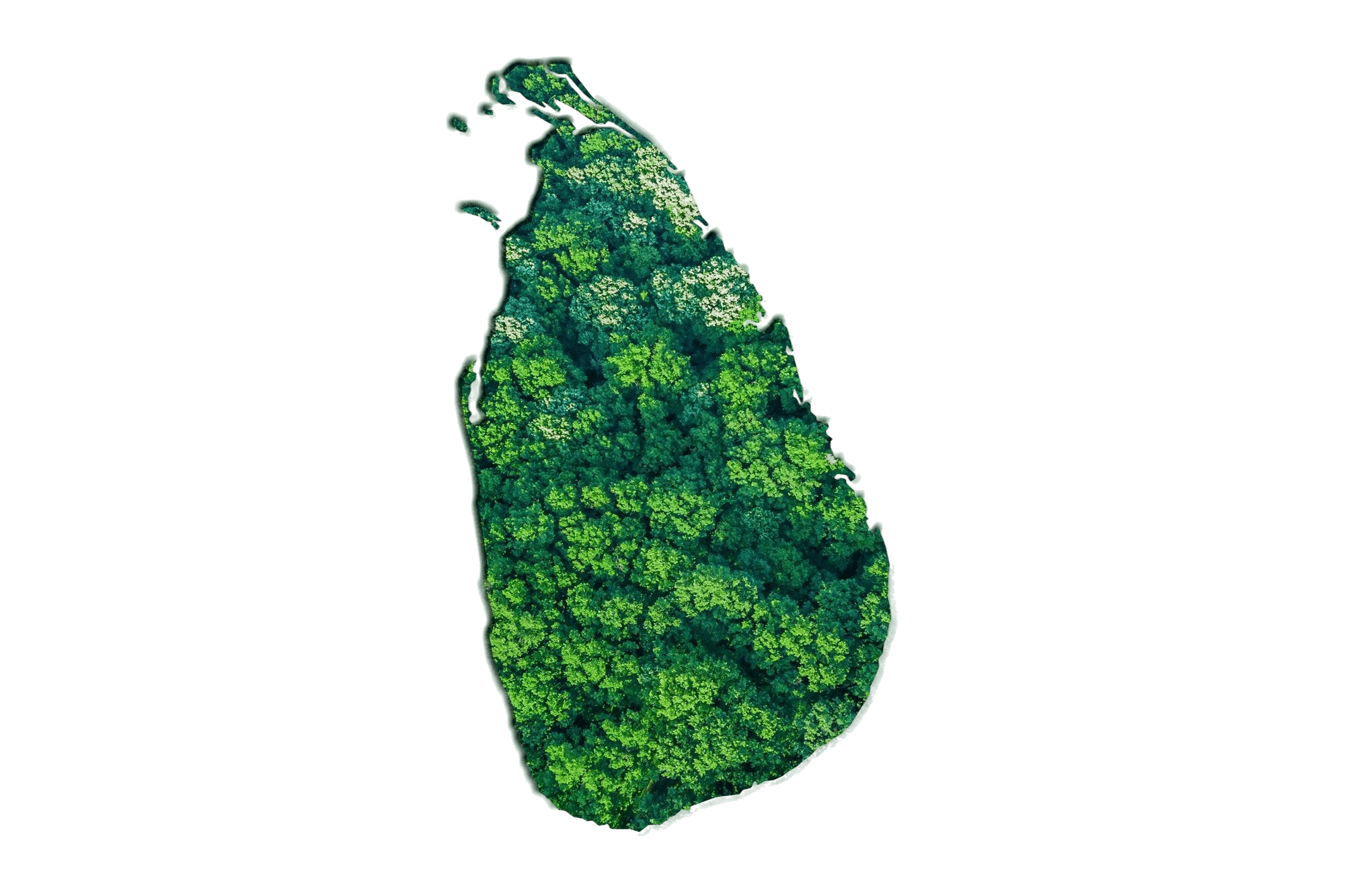 Green Forest Sri Lanka Map